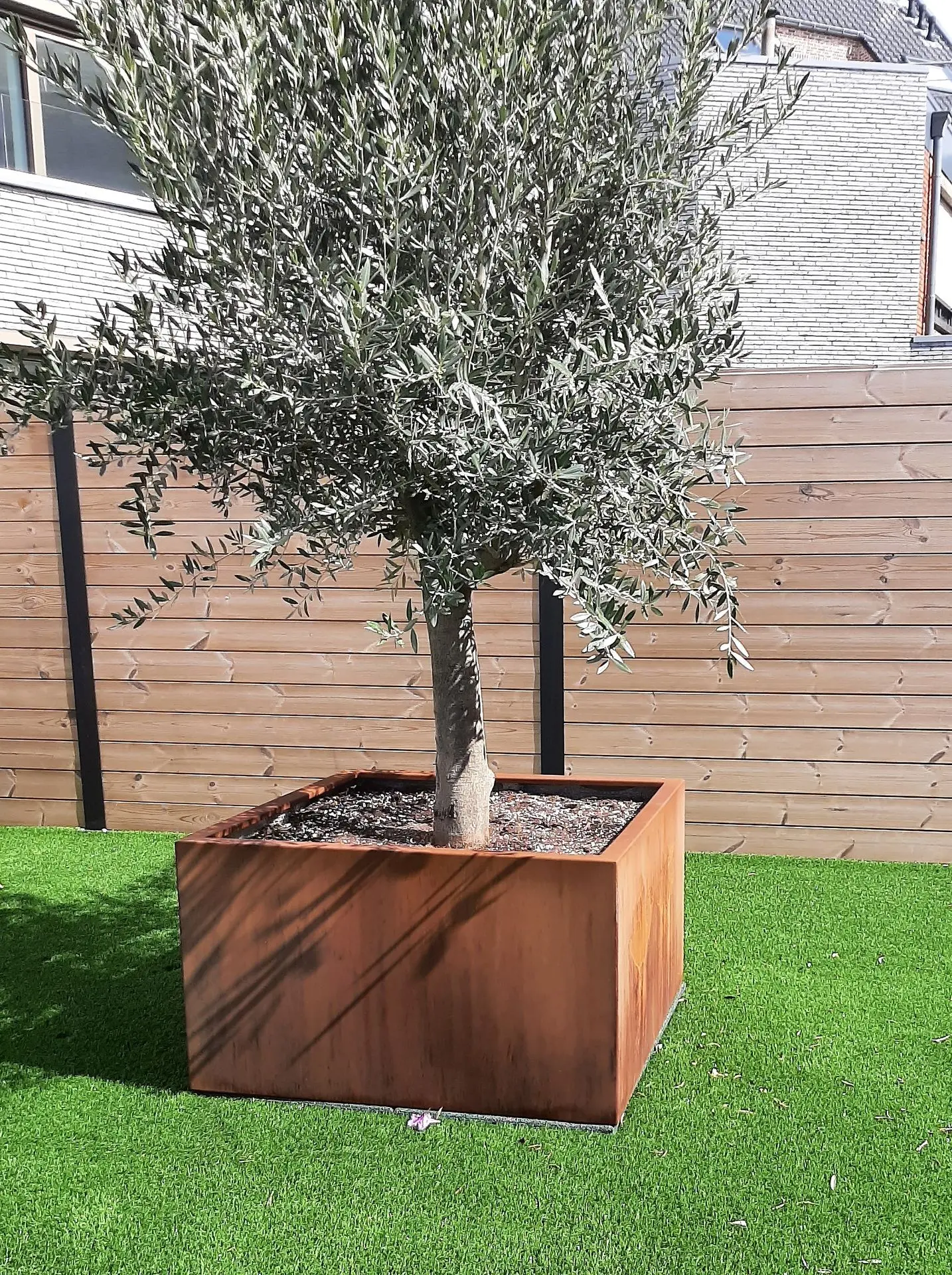 bac corten