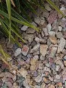 gres-grauwacke-rouge-rose-gravier-concasse-gravier-816-paysage.webp