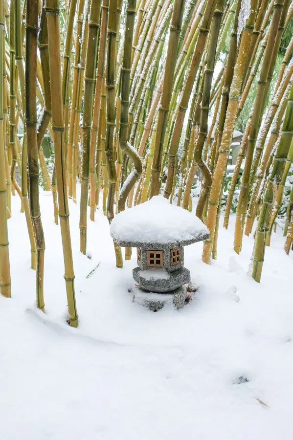 Kodai-yukimi-lanterne-granit-japonaise.50cm_hiver.webp