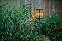 limosa.70.garden.lights.webp