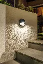 Deimos noire.garden.3..lights.webp