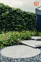 pas_Rond _ Schellevis _.webp