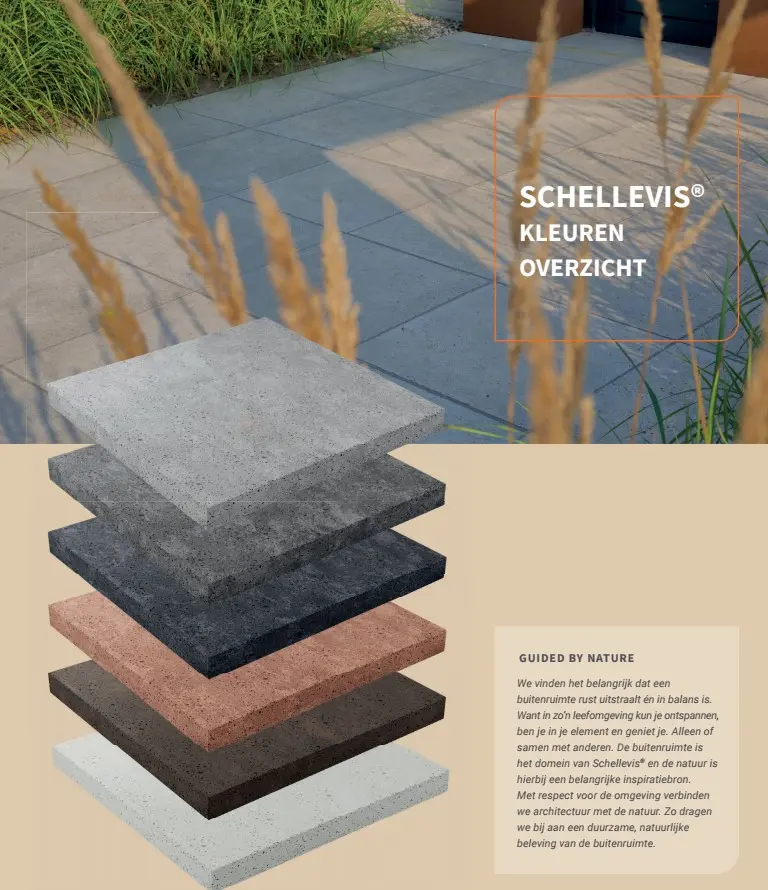 SCHELLEVIS.9..webp