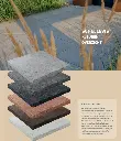 SCHELLEVIS.9..webp