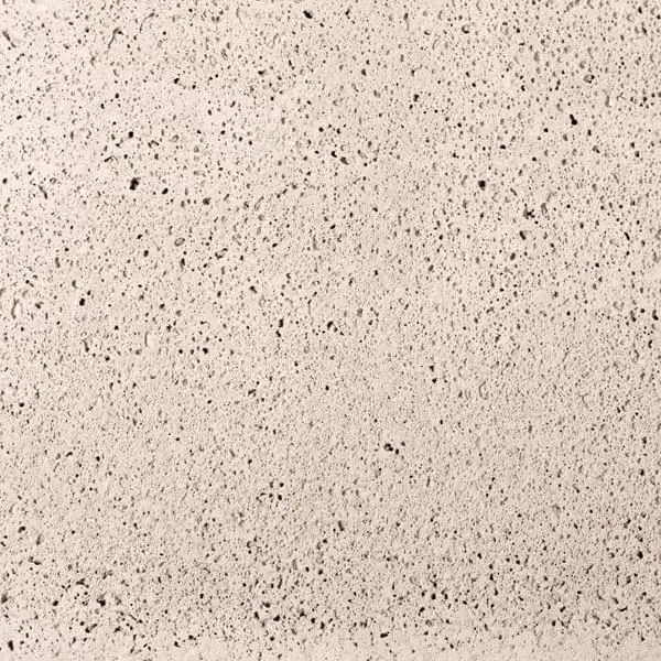 Schellevis. Creme - Web.webp