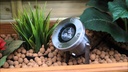 Catalpa spot 12V 3W Led set