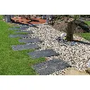 stella-PLAQUE DE SCHISTE.webp