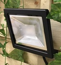 Flood 12 spot 12 V 12 W 750 Lm