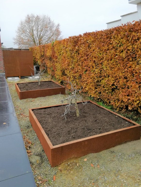 Bordus bac a plantes sans fond Corten Ht 300mm