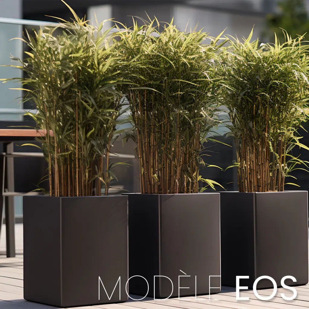 Modele EOS.2..webp
