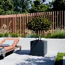 V1_02 (1).webp