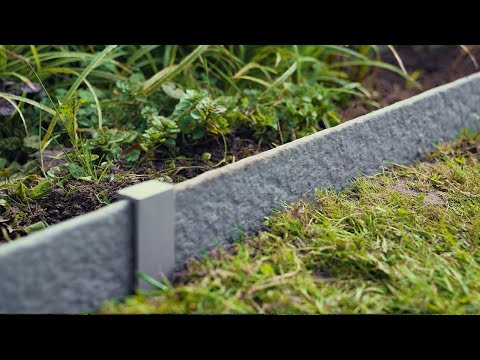youtube - [Video]